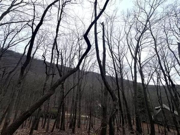 Jasper, GA 30143,315 Windflower DR