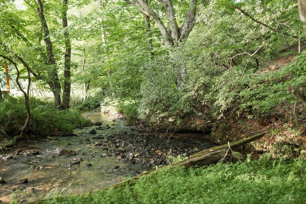 Cherry Log, GA 30522,328 Black Ankle Creek RD