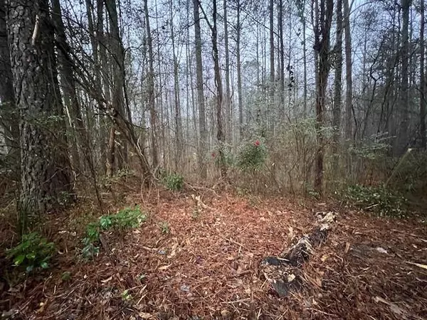 Hiram, GA 30141,74 Bonds CT