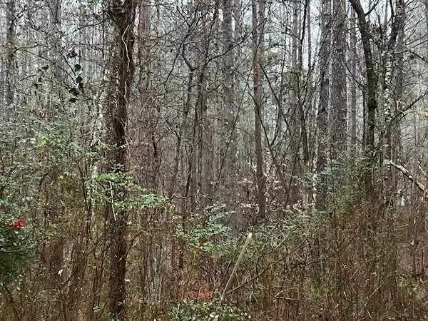 Hiram, GA 30141,78 Bonds CT