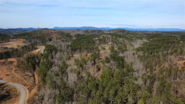 Talking Rock, GA 30175,LT 108 Blalock Mountain RD