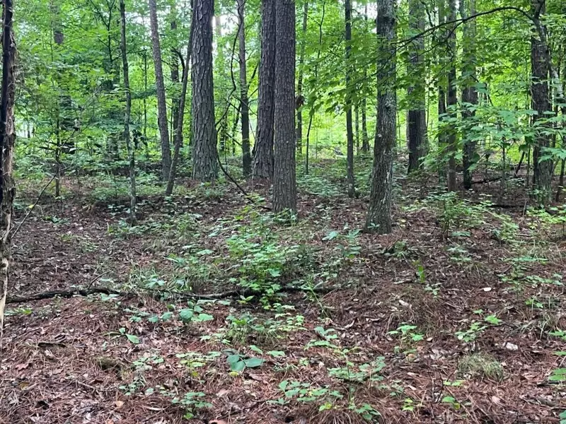 2708-A Narroway Church CIR, Dallas, GA 30132