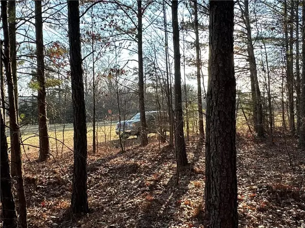 Cave Spring, GA 30124,0 Buttermilk RD