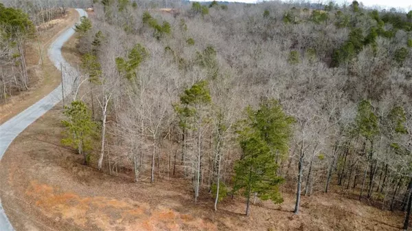 Talking Rock, GA 30175,LOT 43 Bucktail WAY