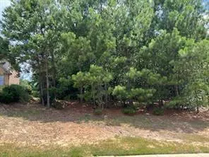 Flowery Branch, GA 30542,4864 Grandview CT