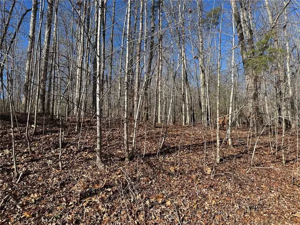 Martin, GA 30557,275 Shore Crest DR