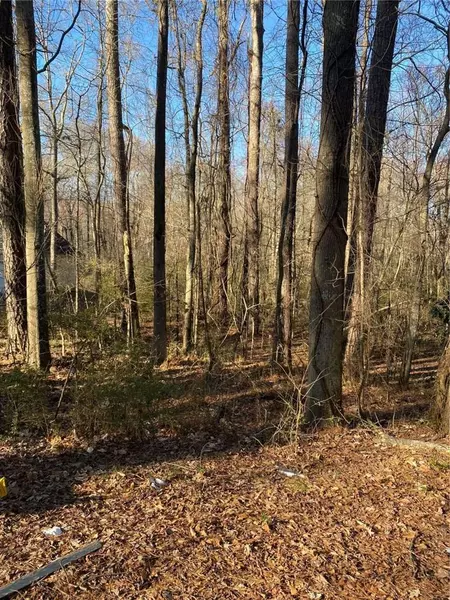 0 Valley DR, Stockbridge, GA 30281