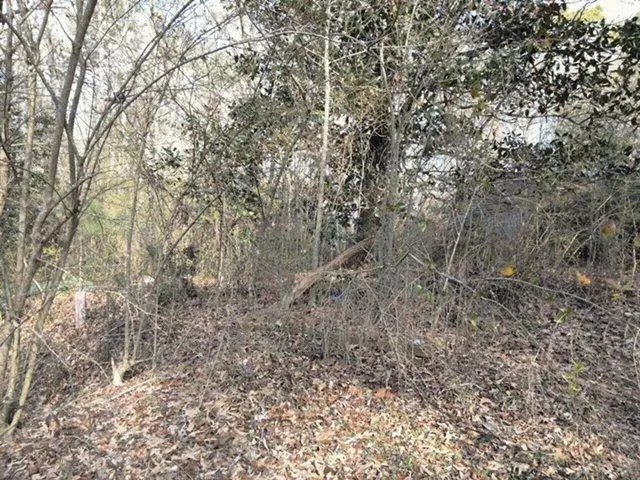 1156 Stephenson Road, Stonecrest, GA 30087