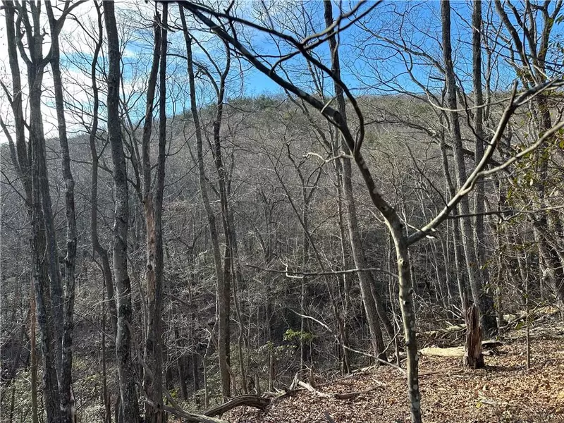 Lt1141 Oglethorpe Mountain RD, Jasper, GA 30143