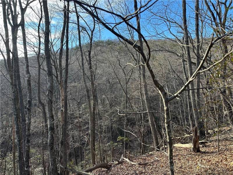Lt1141 Oglethorpe Mountain RD, Jasper, GA 30143
