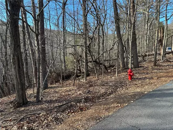Jasper, GA 30143,Lt1141 Oglethorpe Mountain RD