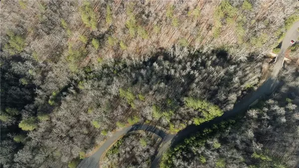 Ellijay, GA 30540,0 Tumbling Waters LN
