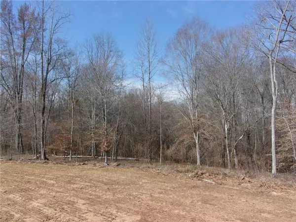 Good Hope, GA 30641,4380 Hwy 186