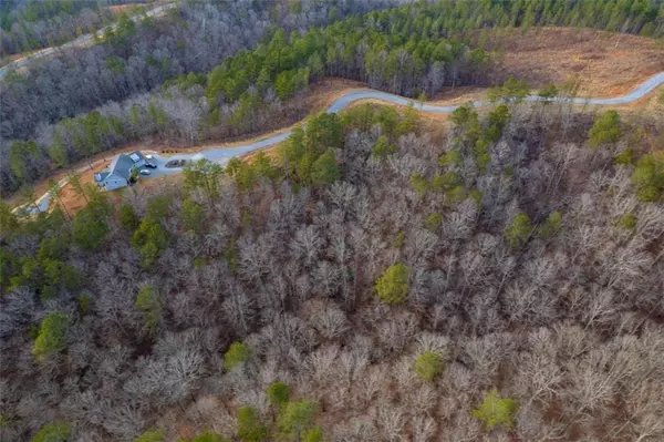 Talking Rock, GA 30175,LT 186 Shelter Cove Trl