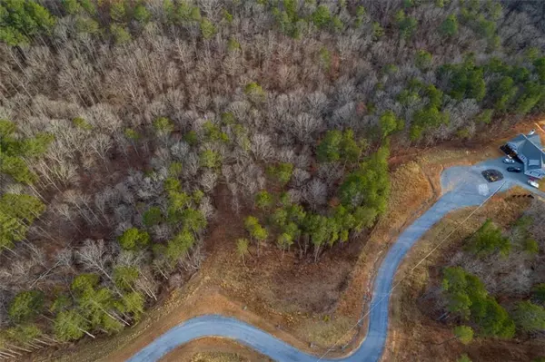 Talking Rock, GA 30175,LT 186 Shelter Cove Trl