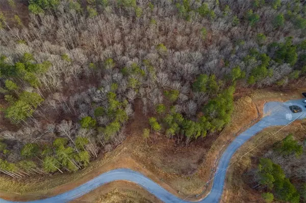 Talking Rock, GA 30175,LT 186 Shelter Cove Trl