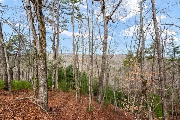 Ellijay, GA 30540,Lot941 Myna Drive