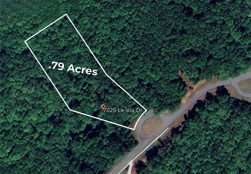 7025 Lake Vista DR, Dawsonville, GA 30534
