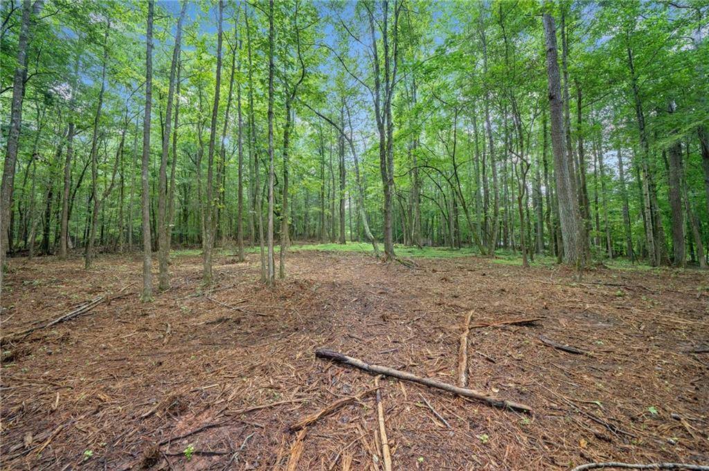 Milton, GA 30004,14880 Freemanville RD