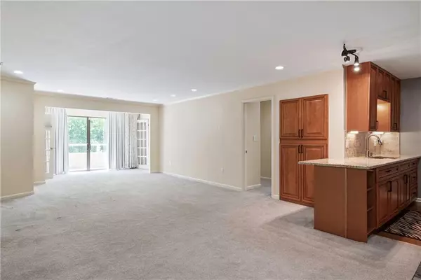 Atlanta, GA 30324,25309 Plantation DR NE #309
