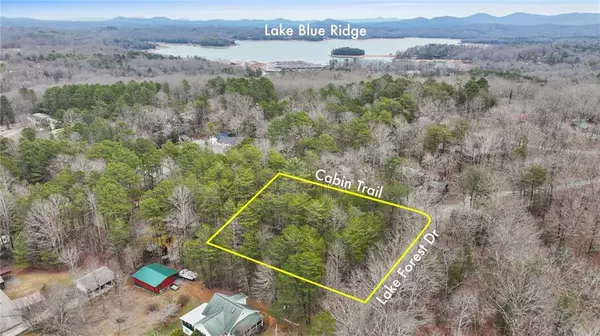 Blue Ridge, GA 30513,LOT 5 Red Bird