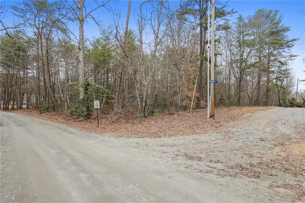 Blue Ridge, GA 30513,LOT 5 Red Bird
