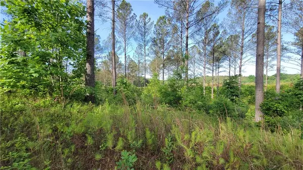 Ellijay, GA 30540,Lot 27 Hillside LN