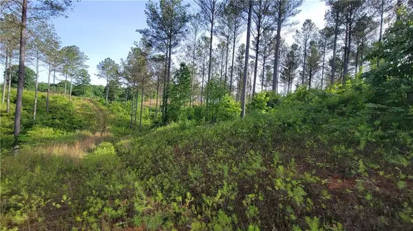 Ellijay, GA 30540,Lot 27 Hillside LN