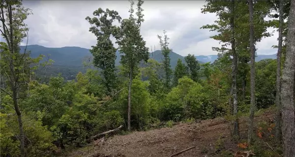 Hiawassee, GA 30546,4.48 Acres Tom Wheeler RD