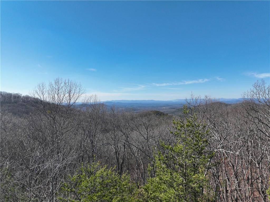 Ellijay, GA 30536,57 St Andrews WAY
