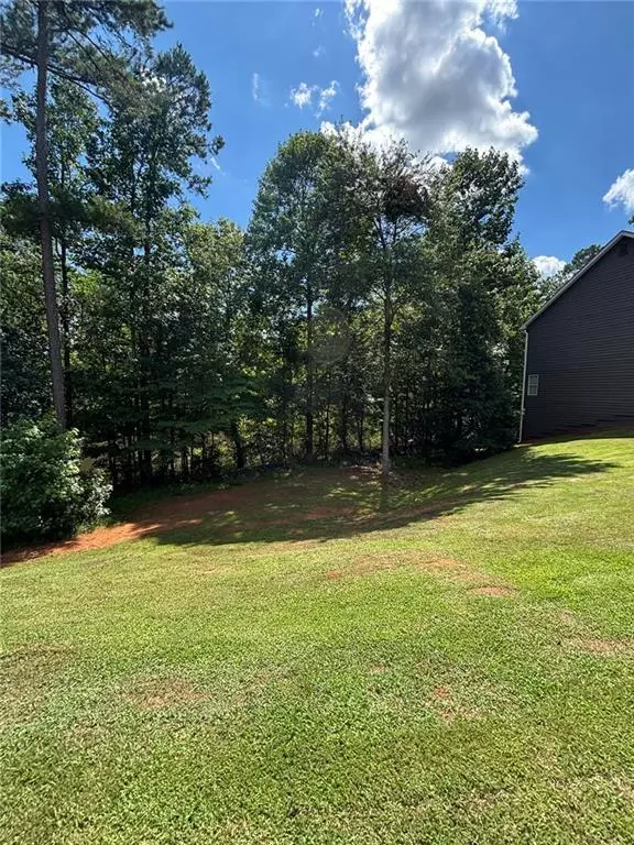 Hoschton, GA 30548,389 WHITE TRILLIUM DR