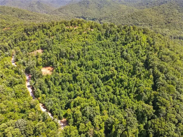 Hiawassee, GA 30546,14.14 Acres Tom Wheeler RD