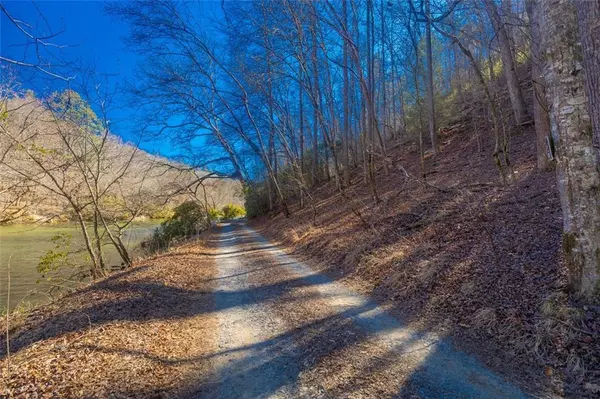 Ellijay, GA 30540,0 Fague DR