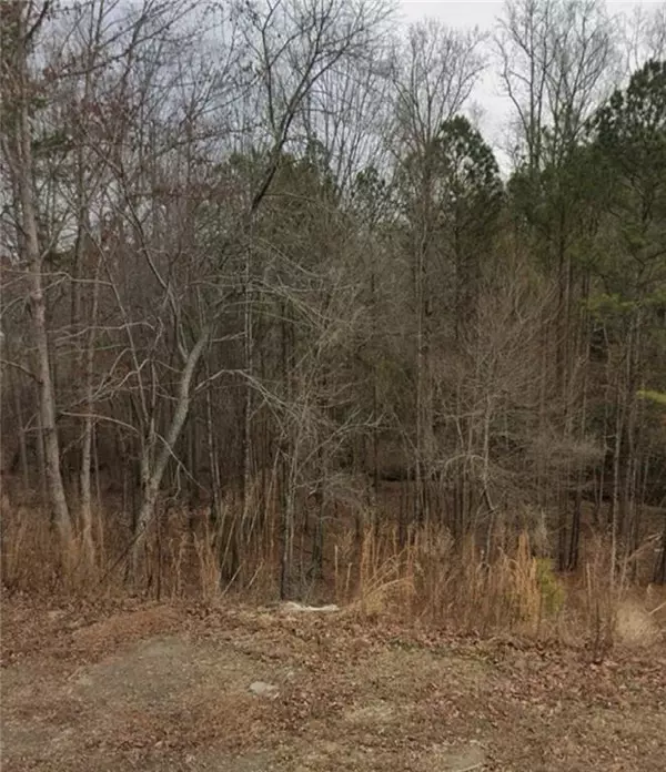 Canton, GA 30114,144 Bridle Ridge LN