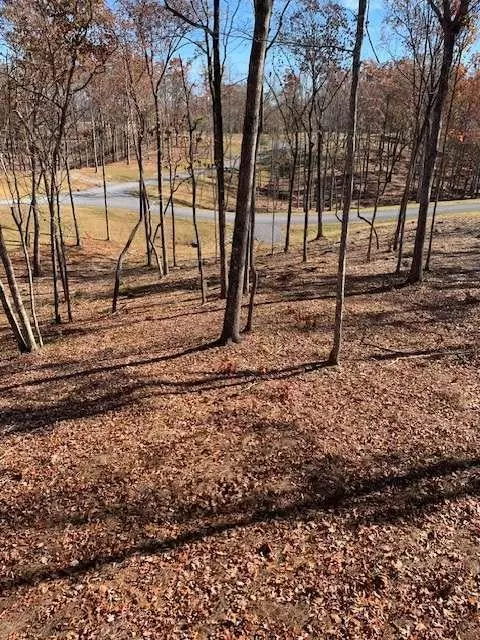 Ellijay, GA 30540,LOT #6 S Jakes Landing WAY S