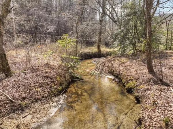 Blue Ridge, GA 30513,5 AC Pack Creek RD