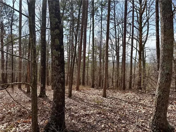 Ranger, GA 30734,1345 Hunter DR