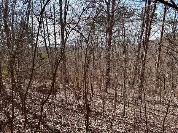 Ranger, GA 30734,1345 Hunter DR