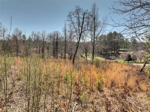 Mineral Bluff, GA 30559,2 Arbor Creek TRL