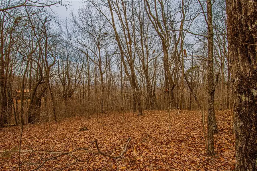 0 Long Mountain RD, Cleveland, GA 30528
