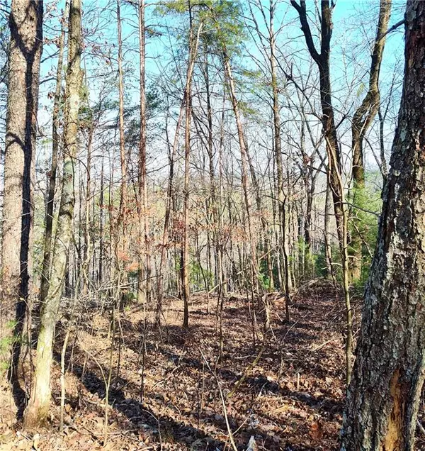 Talking Rock, GA 30175,1698 Shade Tree LN