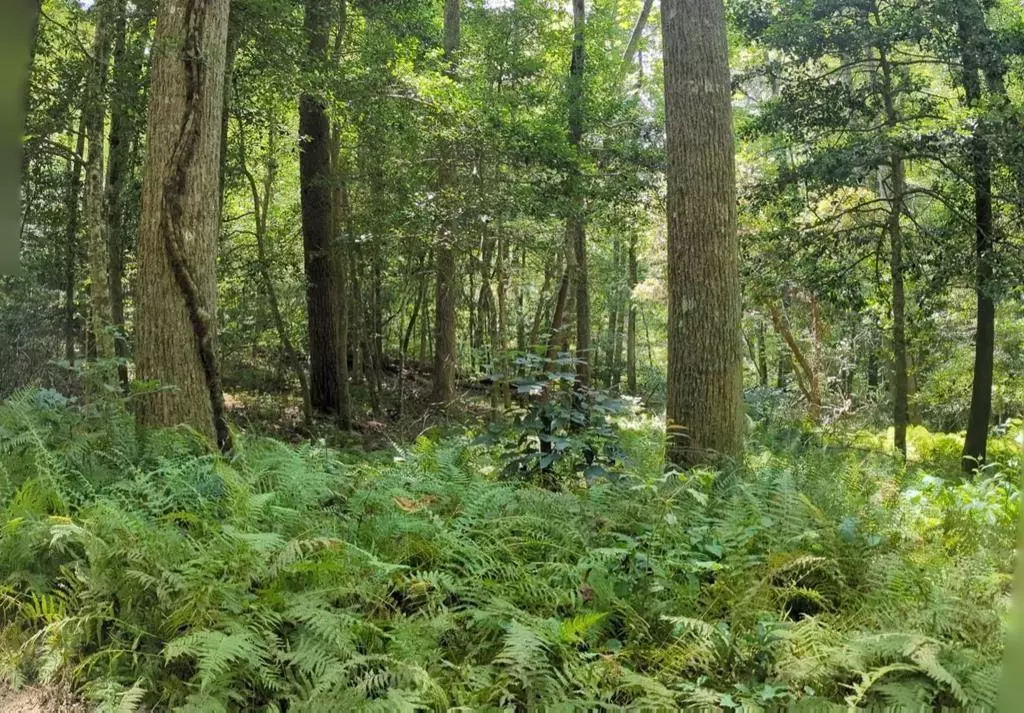 Clarkesville, GA 30523,620 Blackberry LN