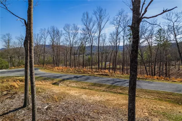 Morganton, GA 30560,173 Southern Cross CT