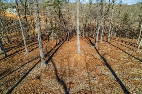 Morganton, GA 30560,173 Southern Cross CT