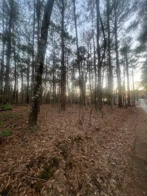 Fayetteville, GA 30214,0 Pine Tree DR