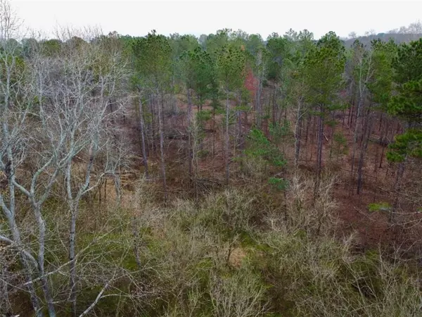 Good Hope, GA 30641,5555 Highway 186