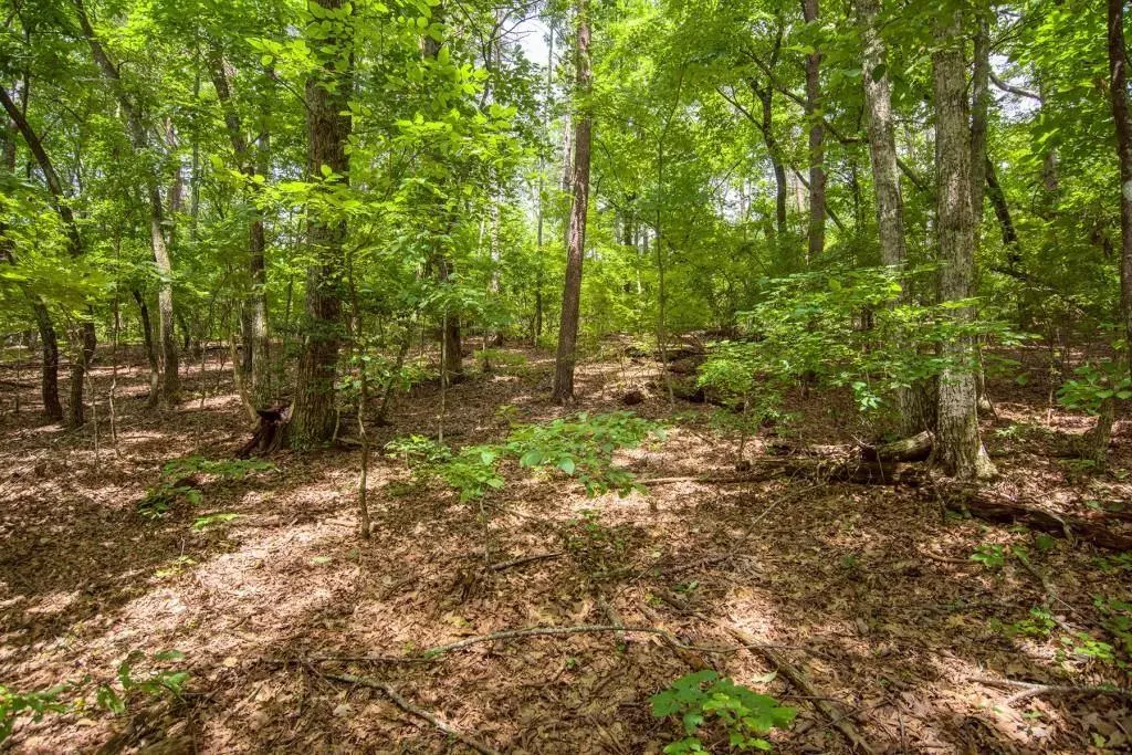 Big Canoe, GA 30143,285 Bear Creek DR