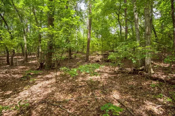 285 Bear Creek DR,  Big Canoe,  GA 30143