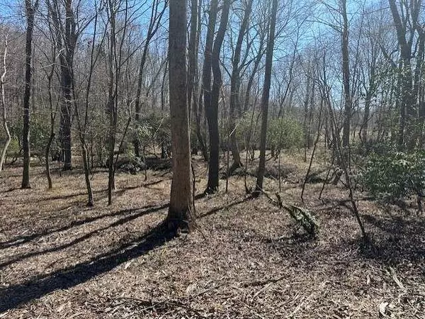 Talking Rock, GA 30175,LOT 16 Bravo WAY
