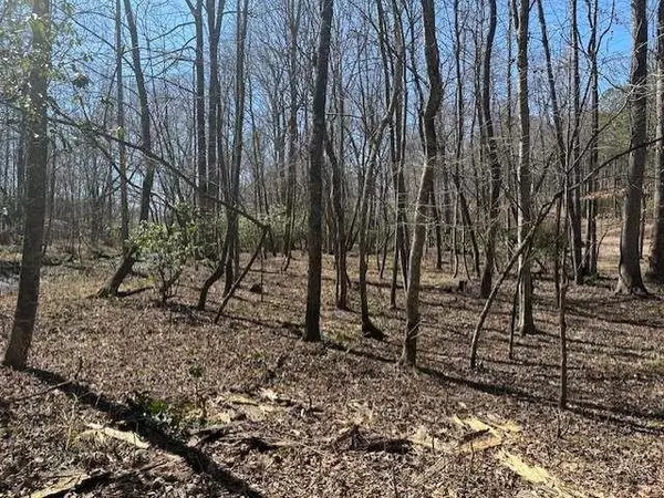Talking Rock, GA 30175,LOT 16 Bravo WAY